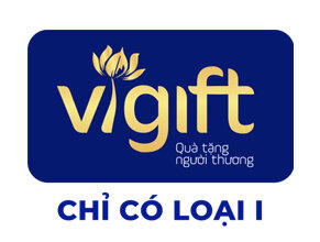 Vigift – Đặc Sản Quà Đà Nẵng