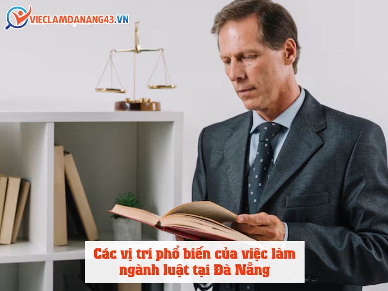 cac-vi-tri-pho-bien-cua-viec-lam-nganh-luat-tai-da-nang