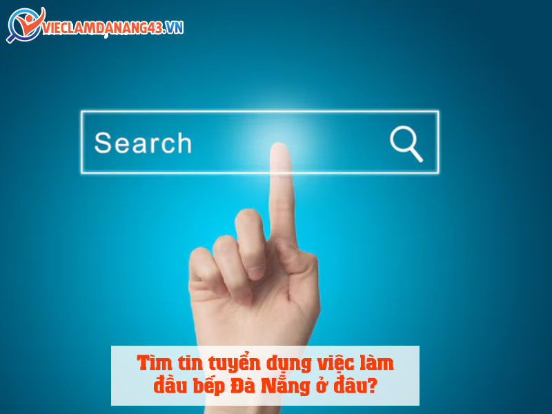 dau-bep-tim-viec-lam-da-nang-tai-dia-chi-nao