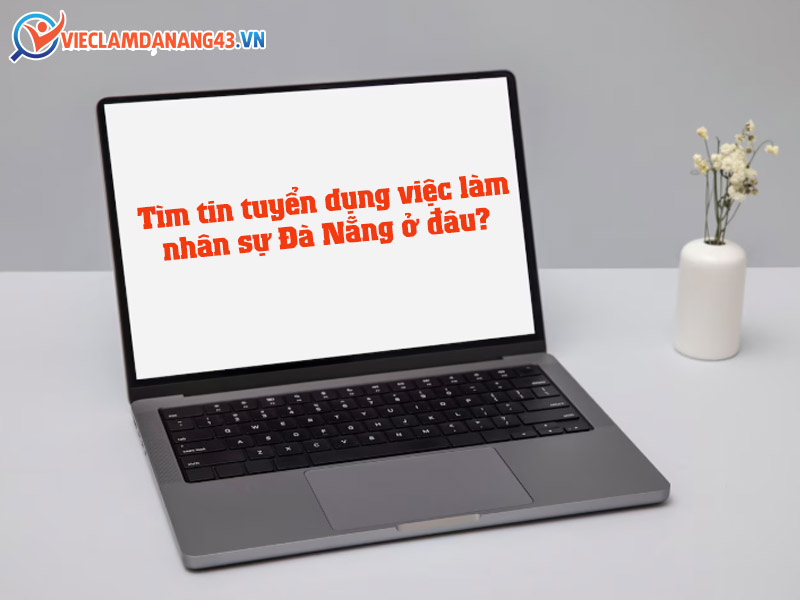 tim-tin-tuyen-dung-viec-lam-nhan-su-da-nang