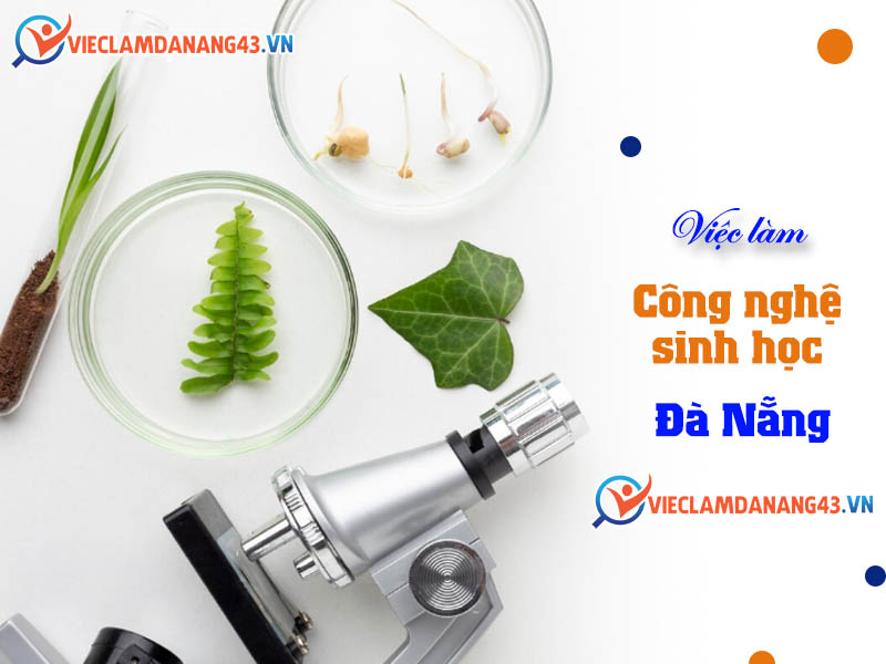 viec-lam-cong-nghe-sinh-hoc-da-nang