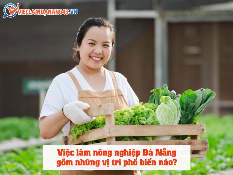 viec-lam-nong-nghiep-da-nang-gom-nhung-vi-tri-pho-bien-nao