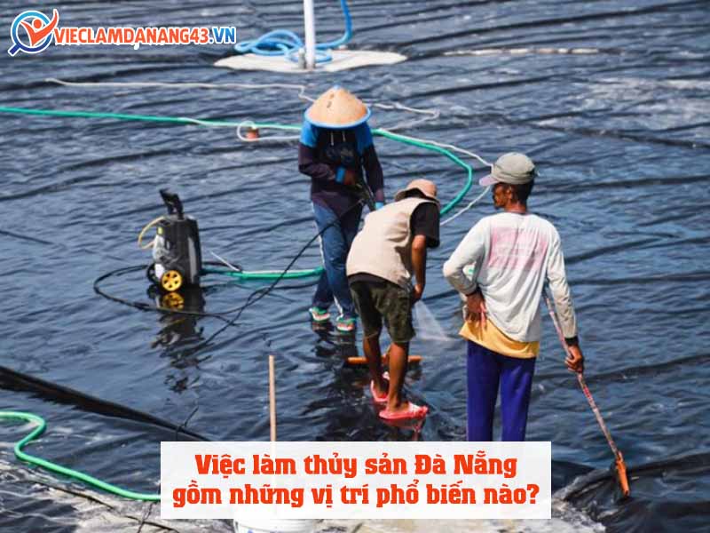 viec-lam-thuy-san-da-nang-gom-nhung-vi-tri-pho-bien-nao