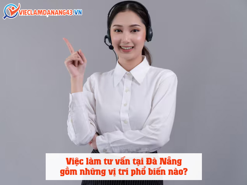viec-lam-tu-van-tai-da-nang-gom-nhung-vi-tri-pho-bien-nao