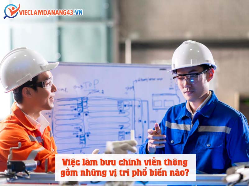 viec-lam-buu-chinh-vien-thong-tai-da-nang-gom-nhung-vi-tri-pho-bien-nao