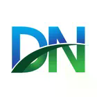 Công Ty TNHH Tư Vấn Đầu Tư Dn Accounting